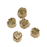 تنقلات | خوش لند | میوه خشک